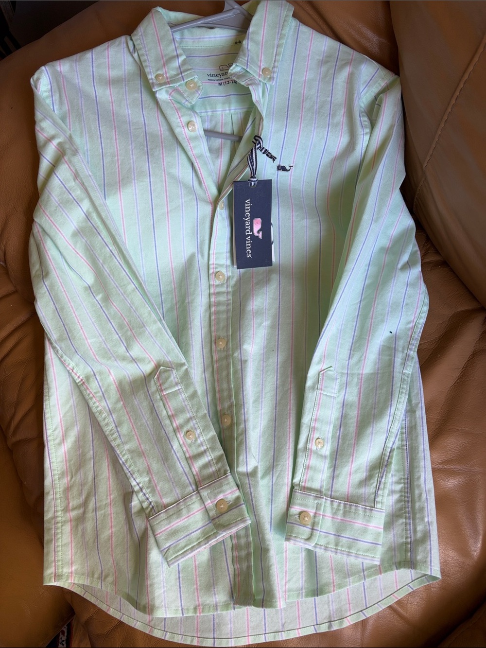 Vineyard Vines Light Green Button-Down Shirt with Pink & White Stripes